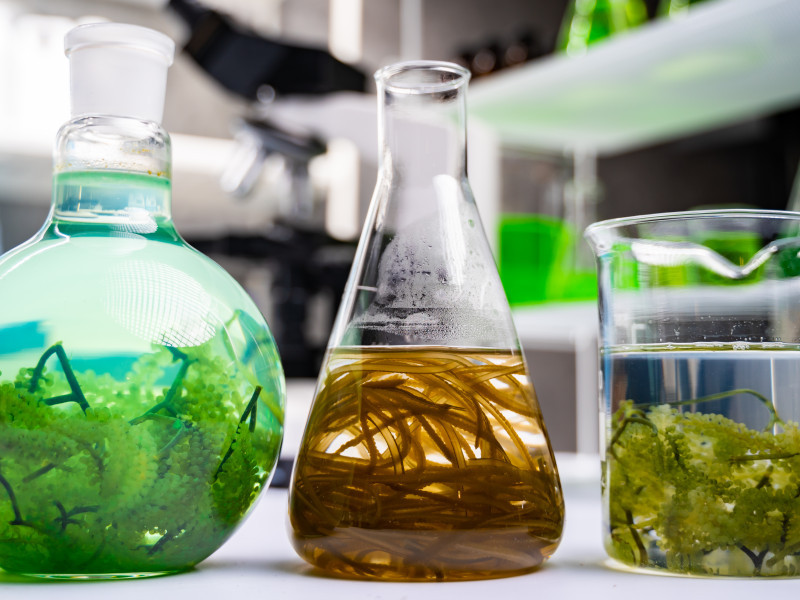 Bio Brandstoffen