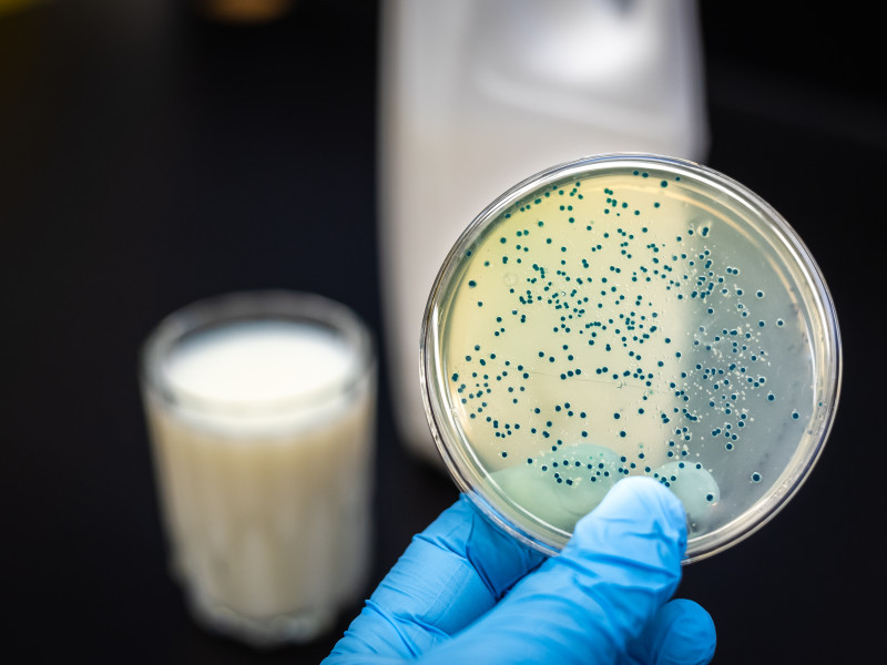 Antibiotica