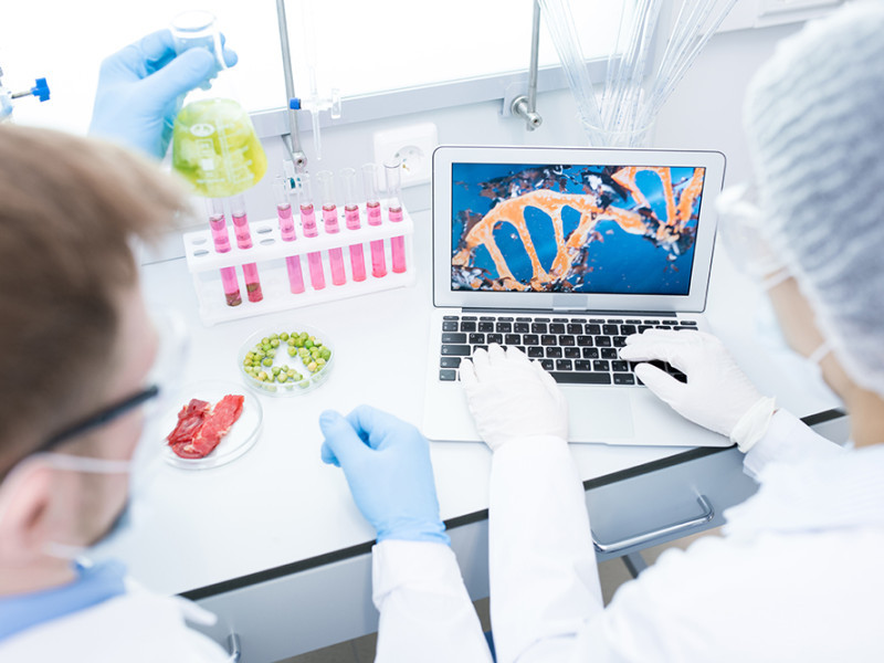 Voedingsmiddelenindustrie --> DNA Analyse