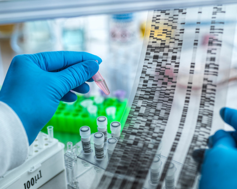 Voedingsmiddelenindustrie --> DNA Analyse