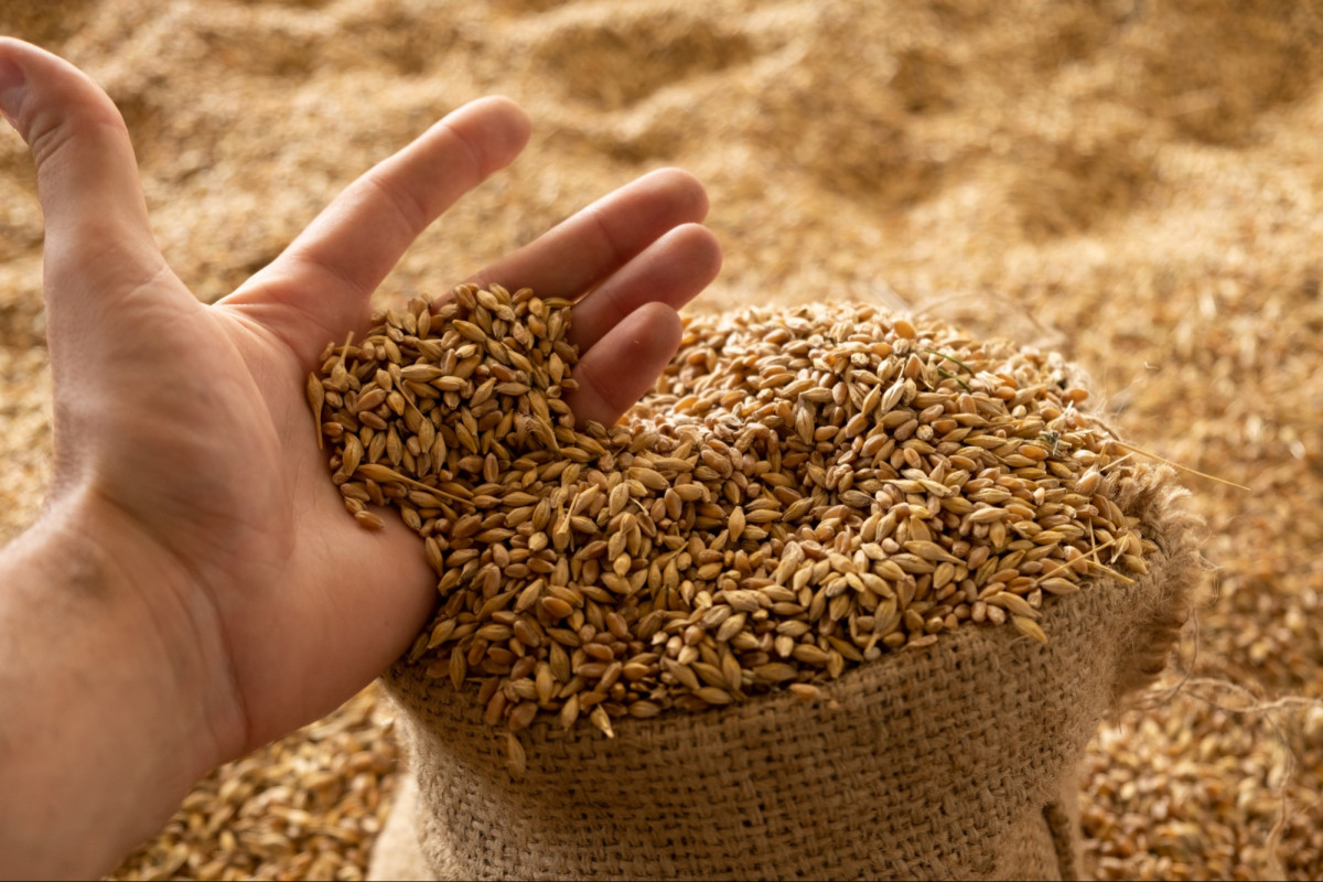 How to Prevent Baking Quality Complaints and Supply Chain Claims with a Reliable Falling Number